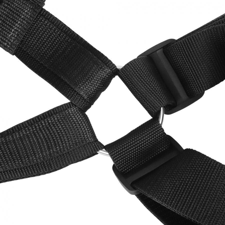 Tracy's Dog Sex Furniture Tracy's Dog Body Swing Set