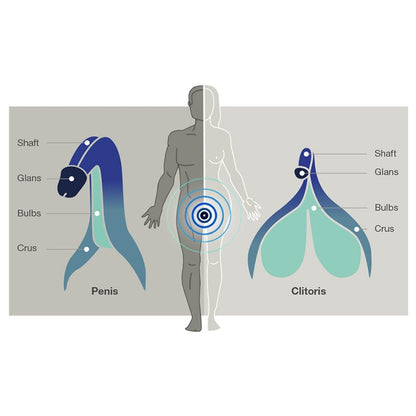 Arcwave Male Masturbators Arcwave Ion Stroker