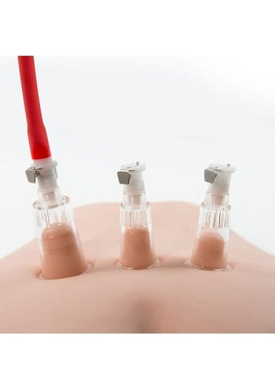 Blush Pussy Pump Blush Temptasia Clitoris/Nipple Pleasure and Enhancement System