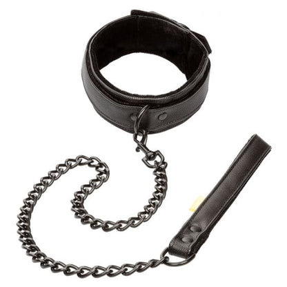 CALEXOTICS Bondage & Fetish Calexotics Boundless Collar & Leash