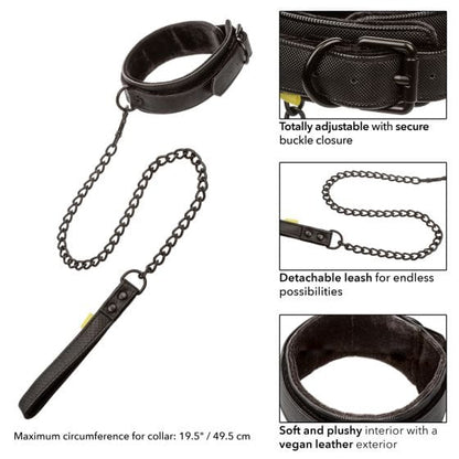 CALEXOTICS Bondage & Fetish Calexotics Boundless Collar & Leash