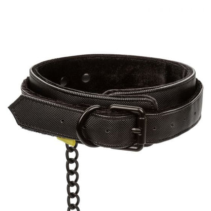CALEXOTICS Bondage & Fetish Calexotics Boundless Collar & Leash