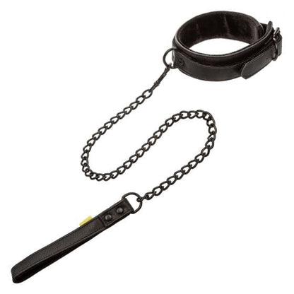 CALEXOTICS Bondage & Fetish Calexotics Boundless Collar & Leash
