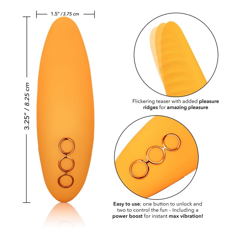 CALEXOTICS Vibrators Calexotics California Dreaming Hollywood Hottie