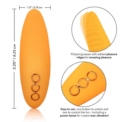 CALEXOTICS Vibrators Calexotics California Dreaming Hollywood Hottie