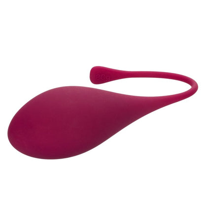 CALEXOTICS Kegel Toys Calexotics Kegel Training 5-Piece Set