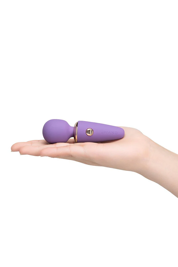 Le Wand Mini Vibe MicroWand