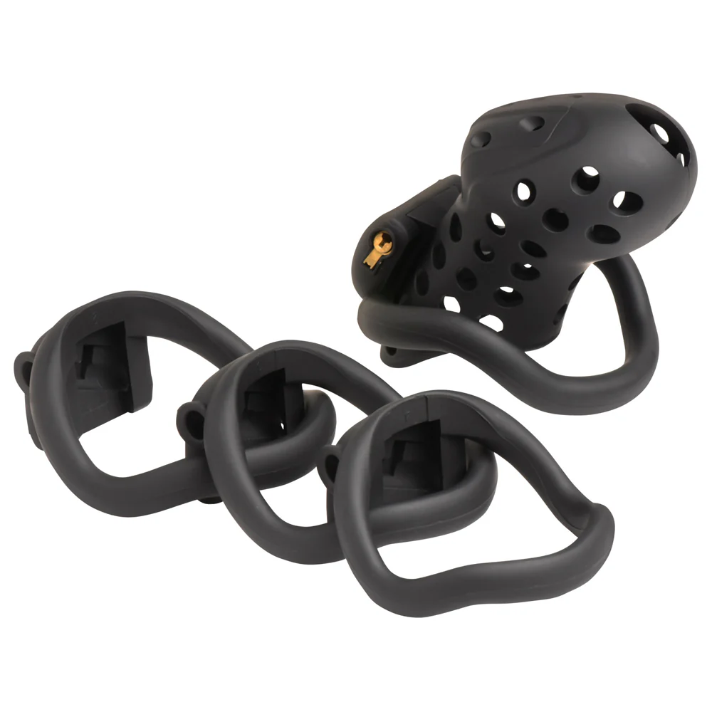 Master Series Lock Down Chastity Cage