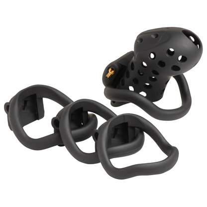 Master Series Lock Down Chastity Cage