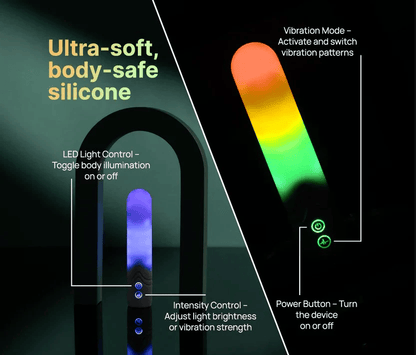 Paradise Illumination The Bullet