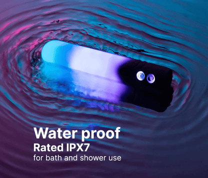 Paradise Illumination The Bullet