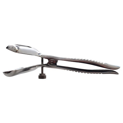 Rouge Stainless Steel Anal Speculum