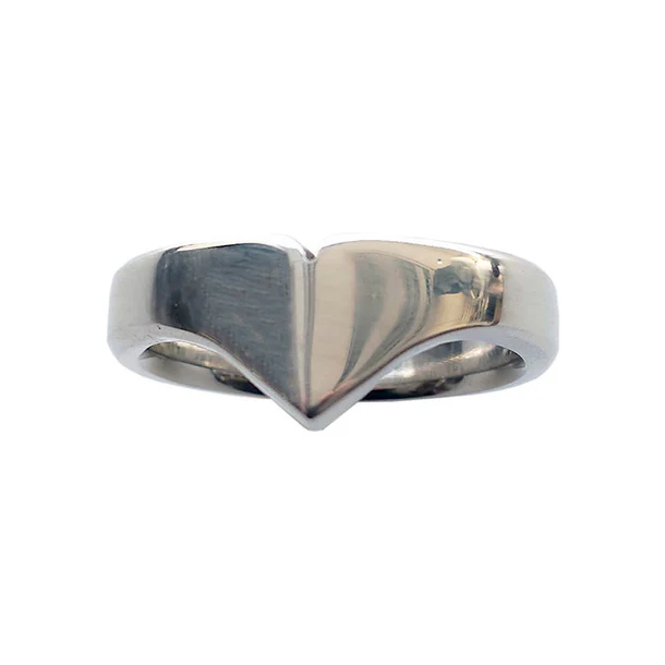 Rouge Stainless Steel Taj Ring