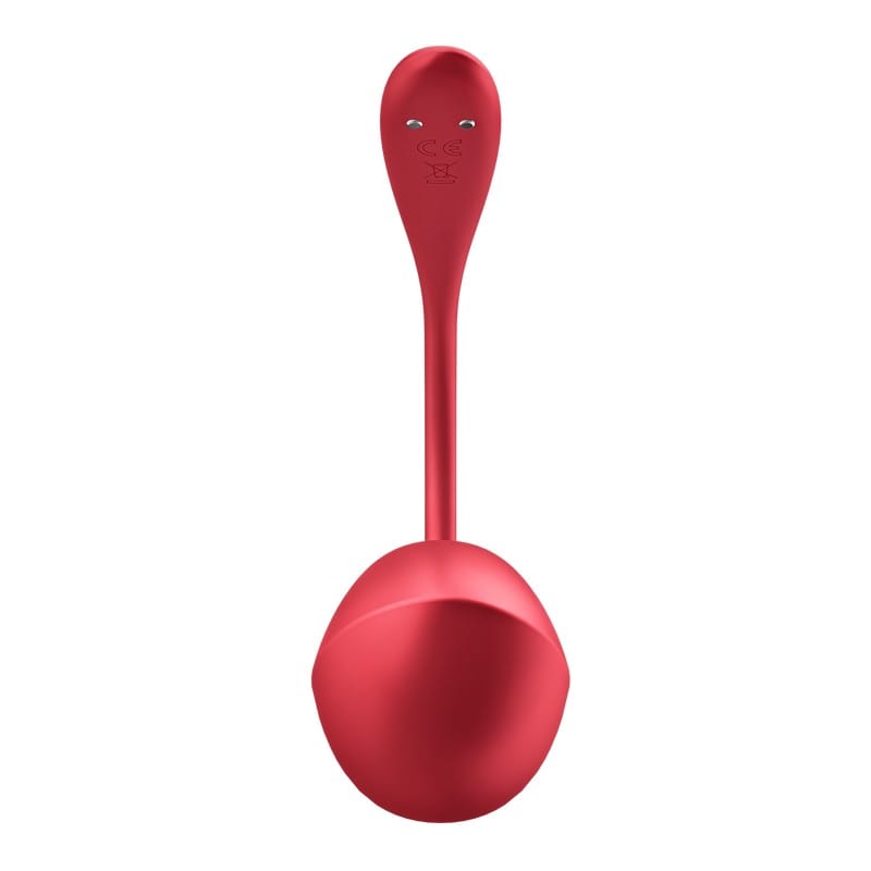 Satisfyer Vibrators Satisfyer Shiny Petal Wearable Vibrator