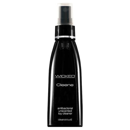 Wicked Lubes & Lotions Wicked Toy Cleene Antibacterial Toy Cleaner