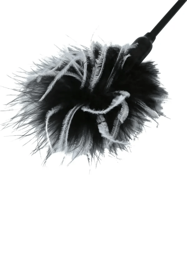 Sportsheets Riding Crops & Whips Sportsheets Sex & Mischief Whip and Tickle