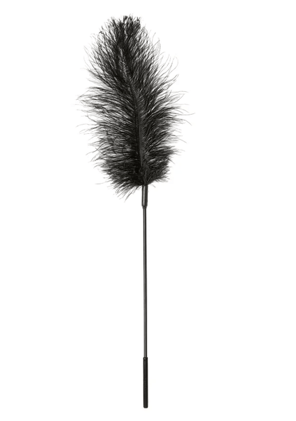 Sportsheets BDSM Sportsheets Ostrich Feather Tickler
