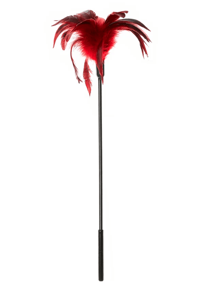 Sportsheets BDSM Red Sportsheets Starburst Tickler