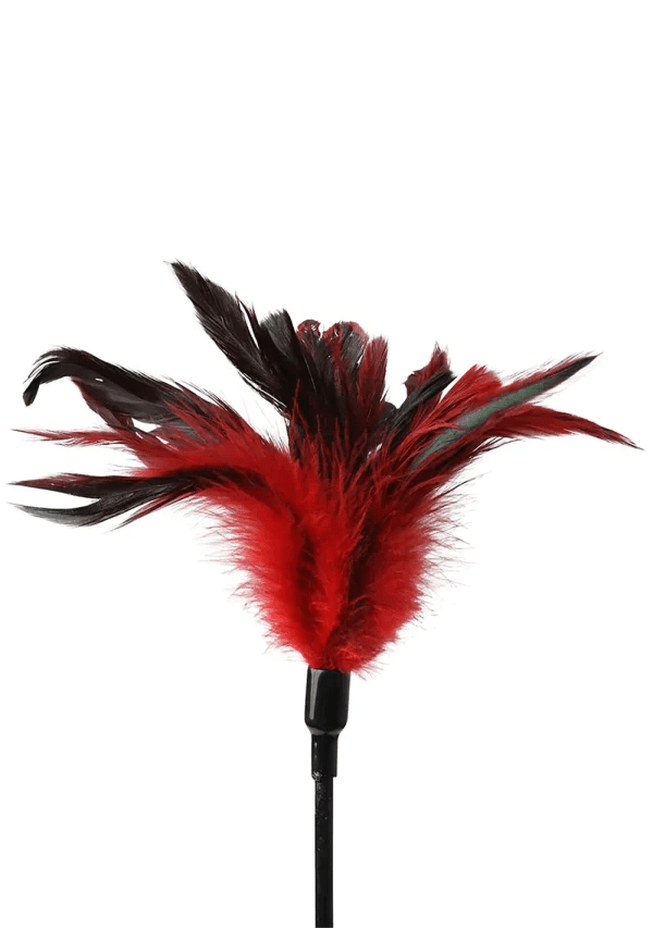 Sportsheets Bondage & Fetish Sportsheets Feather Slapper